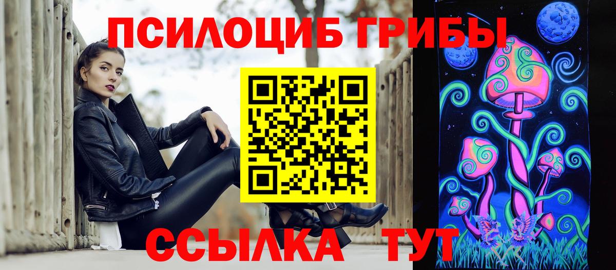 Каменка  Псилоцибиновые грибы мухоморы  Вход с VPN 