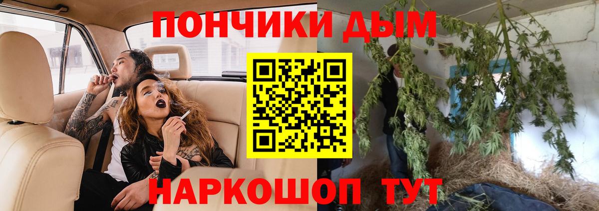 Шишки марихуана семена  Вход с VPN  Каннабис планчик  Каменка  Бошки марихуана Bruce Banner 
